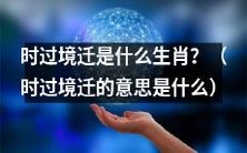 什么生肖代表"时过境迁"这个成语的含义?