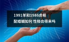 1991年羊和1986年虎的姻缘:性格是否能够完美融合?