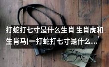 探究生肖虎和生肖马的传统智慧:揭秘打蛇打七寸的生肖身份