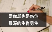 这个世界上最爱你,却也伤你最深的生肖男生