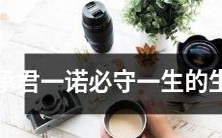 十二生肖:忠诚承诺一生守护您的信仰与荣誉