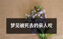 了一口,是什么意义?- 作梦经历:亲人死而复生并咬我一口,背后的象征意义是什么?