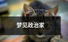 在梦中遇见政治家:一场带有深刻象征意义的心灵体验