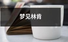 在梦中遇到亚伯拉罕·林肯:一个关于梦境中历史人物出现的体验分享