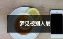 的含义是什么?这个梦境展示了什么样的情感关系与自我认知?