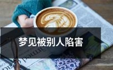 在梦中,我经历了被人陷害的痛苦,来自身边的人所施展的行动引起了我的疑虑和深度不安