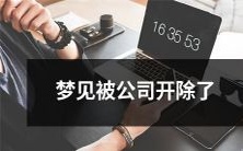 昨夜梦中经历:梦见自己在公司被无情开除,深刻反思自身职场表现及学习成长道路的必由之路