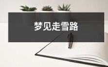睡梦中的奇妙冒险:我梦见自己漫步在飘雪纷扬的路上