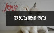 梦中遭遇钱财盗窃,不知所终的恐惧和焦虑体验