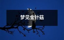 在梦中偶遇金针菇:一段关于食物、奇异与神秘的探索之旅