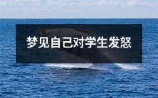 在梦中经历的场景:我作为一名老师,情绪失控地对学生发怒