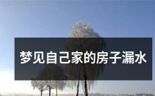 今夜梦见自己亲戚家的房子,无情的漏水不止,仿佛预示着某些不详生活困扰或财务问题的降临?