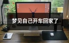在梦中体验开车回家的奇妙旅程:梦见自己驾驶车辆穿越城市,乘风破浪回到温馨的家园