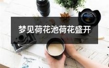 做梦梦见荷花池,满池繁花绽放,美不胜收的奇景令人陶醉!