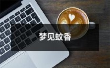 燃烧的夜晚,我梦见了一根细长的蚊香,在微弱的光线里散发着淡淡的香气,引起了我很多不同的联想和感觉