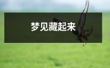 的秘密:一场神秘而又深刻的梦境引发的探索之旅