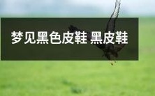 在梦中看到一双黑色皮鞋:探索梦境中黑皮鞋所代表的含义