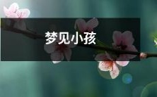 在自己的梦境中看到了一位可爱的小孩的奇妙经历