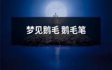 我做了一个梦,在梦里我看到了一支用鹅毛制成的鹅毛笔