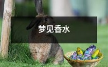 我做了一个梦,梦见自己身上散发着香水的芳香,宛如迷人的花园般的诱人!