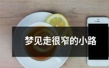 在梦中游荡时发现自己身处狭窄的小径,穿行其中的奇妙经历