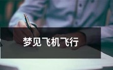 梦见自己在远处仰望飞机在蔚蓝天空中载翼而飞的美妙场景:一个关于梦见飞机飞行的令人神往的绚烂梦境描述