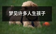 做梦时看到许多人都在生育新生命的情景