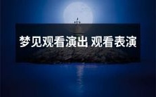 梦见自己在观看演出和表演场景中享受精彩绝伦的视觉和听觉盛宴的故事