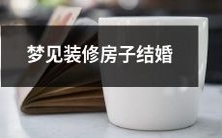 在梦中经历了一场精心策划的装修计划并在新房中完美结婚的奇幻体验
