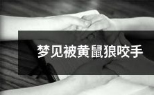 做梦时被黄鼠狼咬手的经历: 恐惧、失控与无助的情感交织在一起的梦境