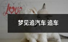 无休止地追逐汽车,充满挑战性的梦境体验