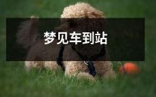 睁开眼睛,梦见等待已久的车辆准时到达站点:感受到的兴奋和震撼令人难以忘怀!