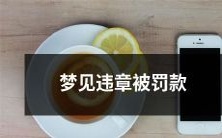 今晚我做了一个可怕的梦,梦见自己因违章而被罚款了,心情丧到了极点!