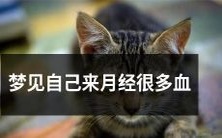 梦境中看到自己经血不断涌出,大量出血的梦境