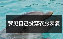 在梦中,我竟然忘记穿衣服,身处表演舞台之上!