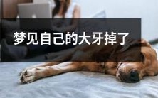 在梦中经历大牙掉落的可怕场景:探讨可能的解释和象征意义