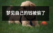 在梦中目睹个人财产被谋贼侵占的情景体验:梦见自己的钱财被盗了