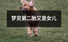 在梦中经历了孕育第二个女儿的美好体验