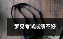 在梦中遭遇到自己的考试成绩不佳:探究潜意识中的学术焦虑与自我质疑