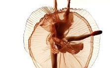 在梦中亲身经历:我身处醉人的舞场,被华美绚烂的舞女环绕着,无尽的欢愉与惊艳令我难以忘怀!