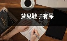 做梦时看到鞋子上沾着排泄物的恶心景象