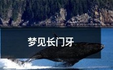 如何诠释:梦见自己拥有一对令人惊叹的长门牙,探究自我表象和个人影响力的深层潜意识信息?