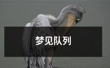排长长长长长长长长的队列,意味着什么?——解读梦境中的队列现象