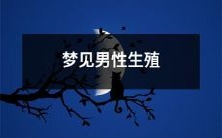 器崩裂的恶梦:述说男性私密部位破裂的可怕幻象