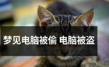 梦见自己的电脑被窃,遭不明人士之手盗窃