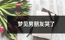 我做了一个梦,在梦中看到我的男朋友哭泣,这让我感觉非常困惑和不安