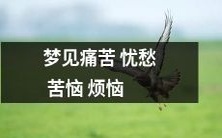 作噩梦:被深深的痛苦与忧愁,苦恼和烦恼所困扰