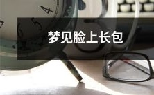 睡梦中见到自己脸上生着肿瘤样的包块,内心大惊小怪的经历