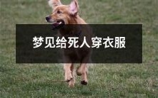 在梦中经历给逝世者穿衣,一个寓意深刻的神秘体验