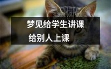 在梦中经历了教学体验:自己作为学生听课,又以教师身份为别人进行授课